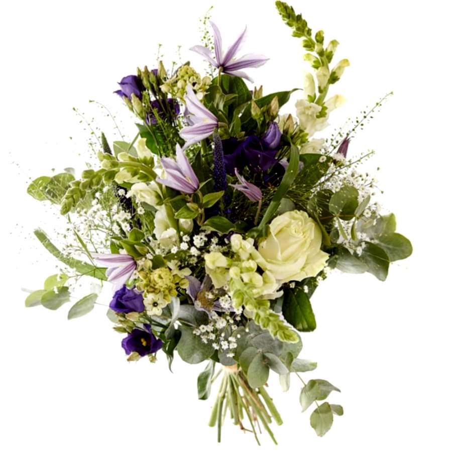 Trendy picking bouquet, purple, white