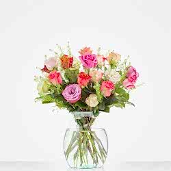 Categorie Rozen